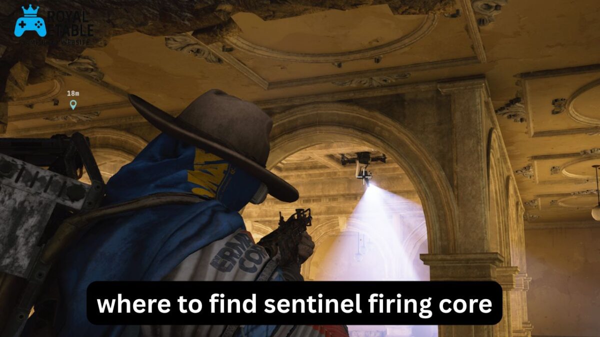 Where to Find Sentinel Firing Core
